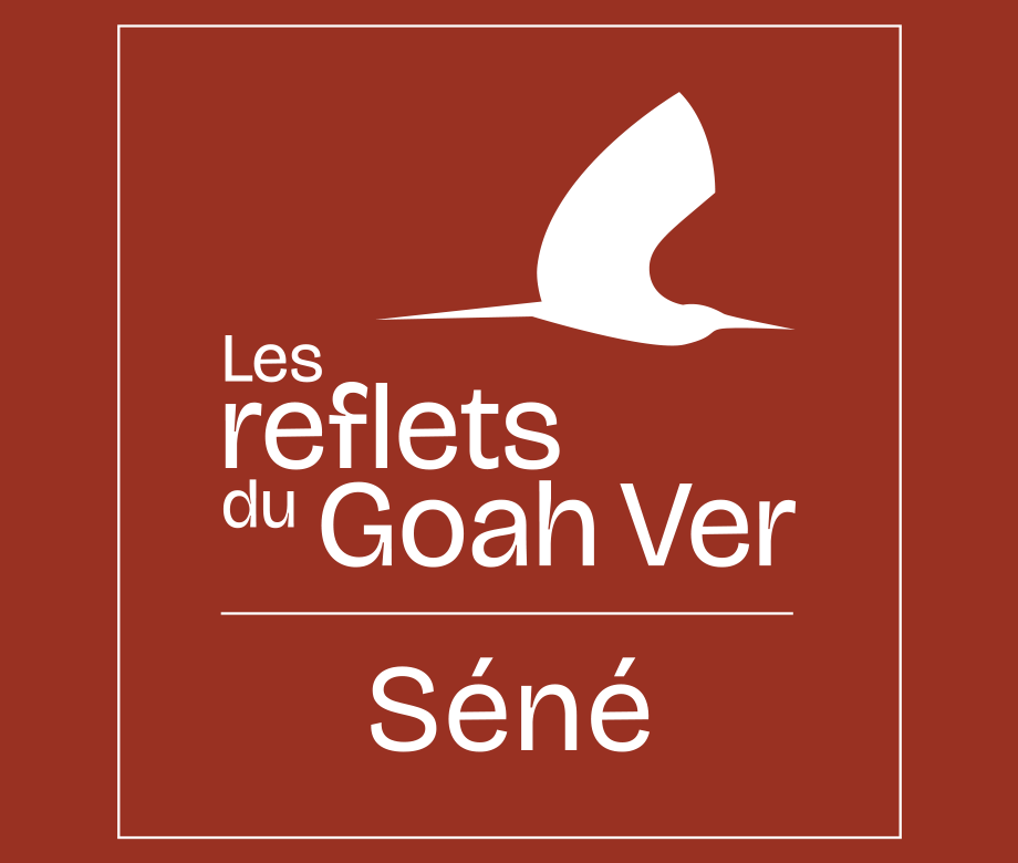 Logo Les reflets du Goah Ver - Cefim
