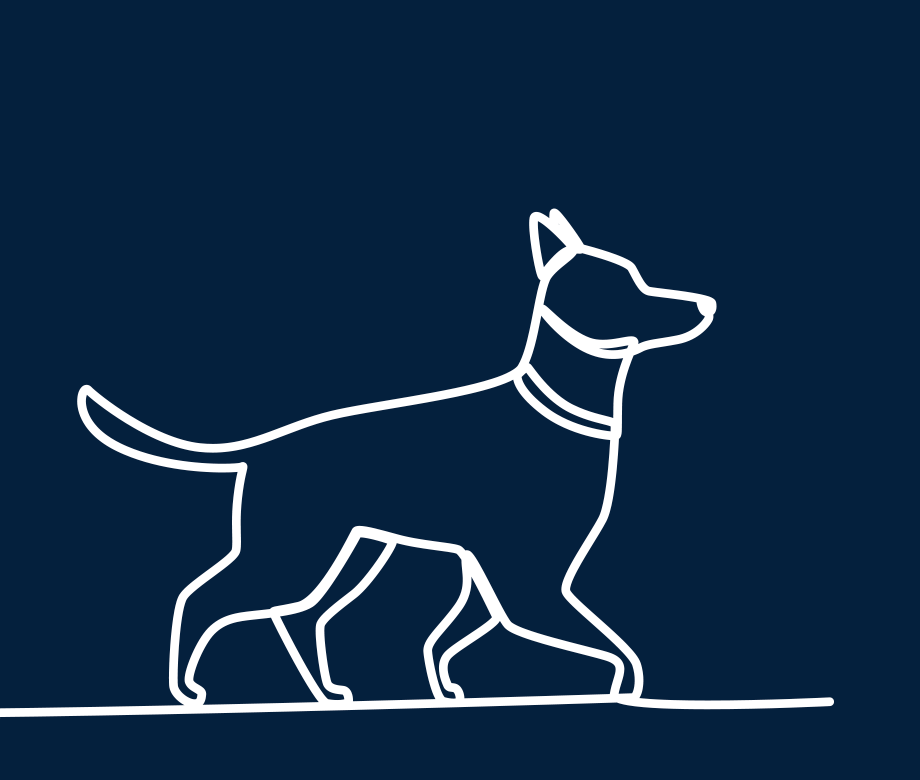 Giboire Odyssée - Ambiance